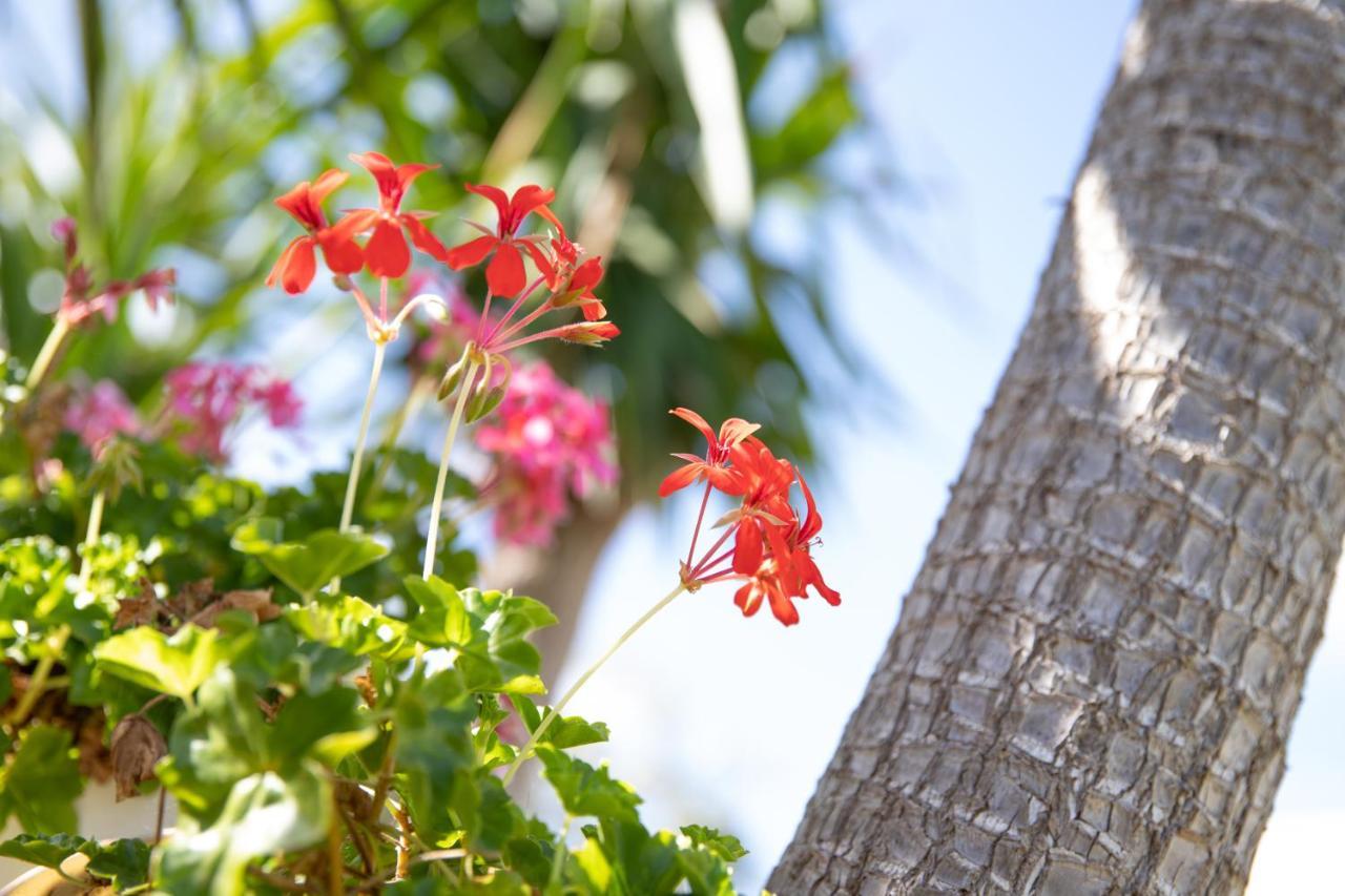 La Lantana Βίλα Marina di Ragusa Εξωτερικό φωτογραφία